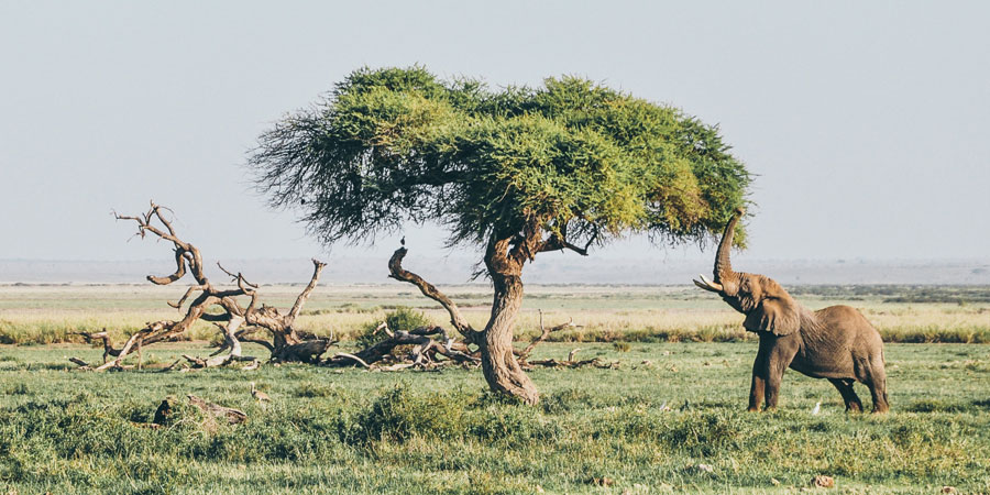 When is the best time to visit Sri Lanka